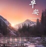 世界杯如何看球-世界杯如何享受观赛体验